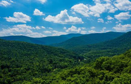 1920s Phoenicia Bungalow with Vintage Furnishings, Sauna, Fireplace, & Fenced Backyard - Foto 34
