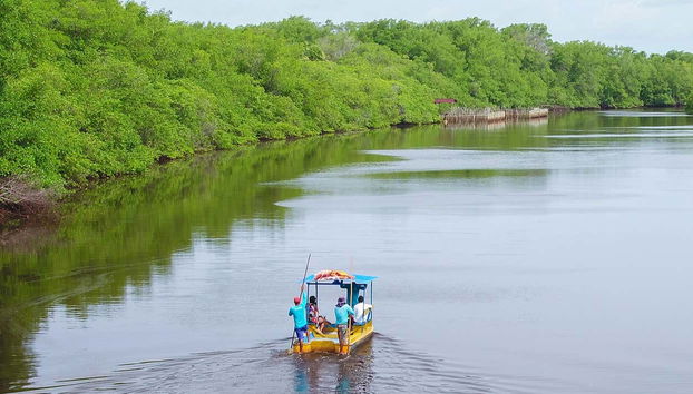 Podréis disfrutar de un paseo en barco