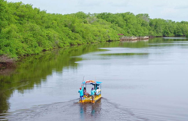 Escursione a São Miguel dos Milagres - Foto 6