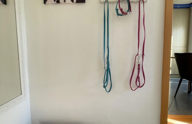 Ferienwohnung Toja - Foto 6