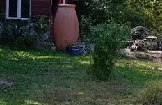 Les Jardins de Castelange - Foto 14