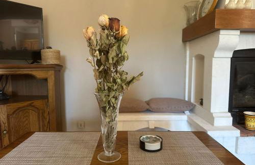 La maison aux oiseaux - Luberon - Foto 43