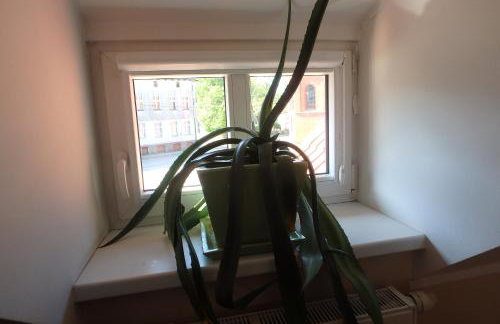 U Aptekarzy - Foto 61