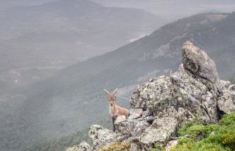 Finca La Machota Centro de Naturaleza - Foto 6