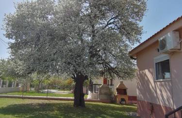 Αξέχαστη διαμονή - Unforgettable accommodation - Foto 26