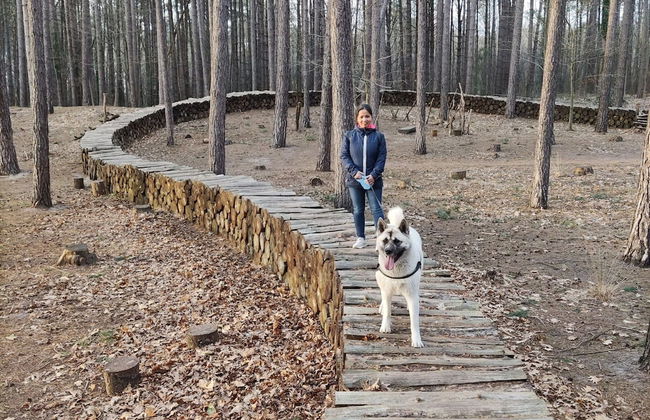 Herselt Garden Shed Retreat - Foto 40