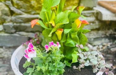 Croft Courtyard, Ambleside - Foto 16