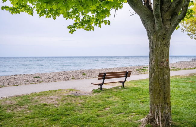 GLOBALSTAY Sunny Basement Brontë park - Foto 27