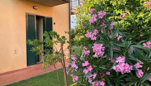 Tuscan Charm Spacious Florence Home - Foto 1, Garden, Garden view