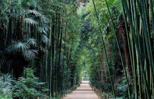 Maison au centre de St Jean du Gard - Foto 7