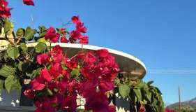 no.21house. Α Beach house in Rio,Patras - Foto 5, Garden view