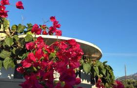 no.21house. Α Beach house in Rio,Patras - Foto 5