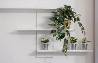 a casa di di - Foto 11