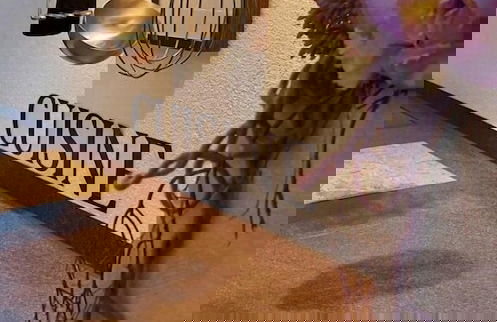 Haus Montana - Foto 44