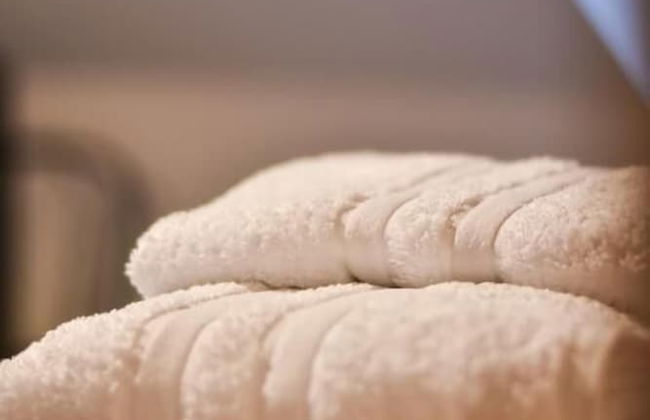 Gite Clos Angelique - Foto 22