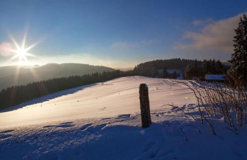 Holiday Home in Willingen-neerdar - Foto 69