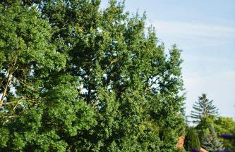 SEEBADHOF Berlin-Rangsdorf - Photo 63