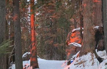 Sweet getaway in private Giant Sequoia Grove! - Foto 46