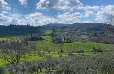 La Casa di Diana - Foto 13