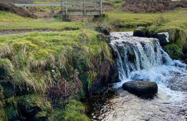 The Bakehouse - Foto 52