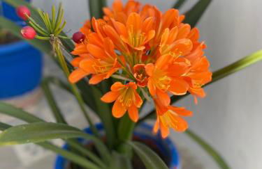 CasaElbarranko - Foto 14