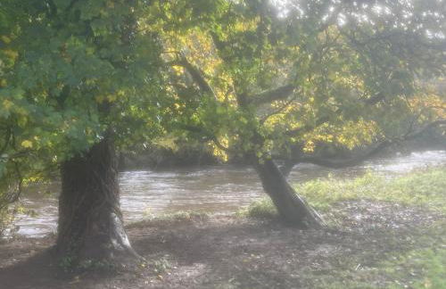 Spacious Cottage with Private Hot Tub - Foto 23