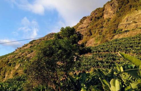 Anjos's Choice - Foto 45