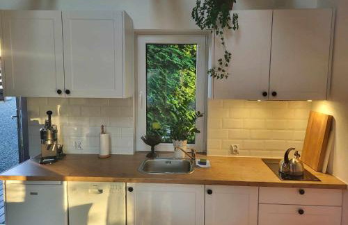 DOMEK CHATKA BUKOWIANKA w Bukowcu koło Karpacza - Foto 18