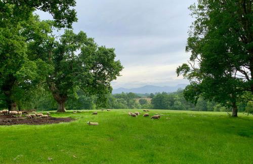 CHALET BTZ - Foto 35