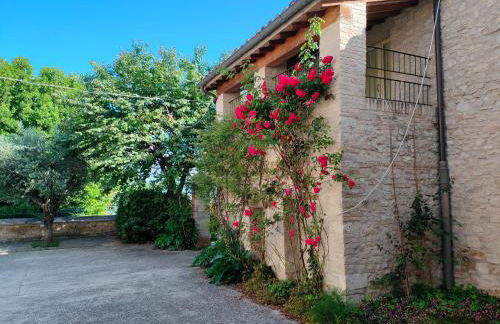 La Panoramica - Foto 34