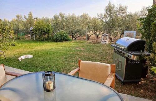 Avdira Dreamin' - Photo 9