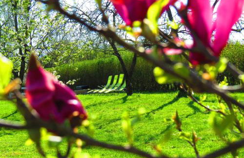 House Wisteria - Foto 62