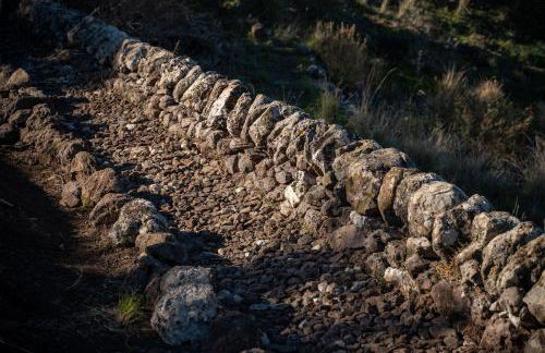 Agriturismo Pietre di Gelo - Foto 22