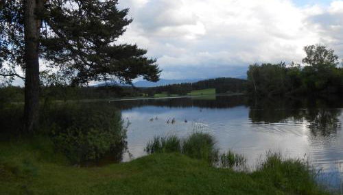 Ferienwohnung Huber am Deutensee - Foto 4