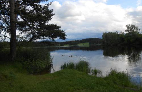 Ferienwohnung Huber am Deutensee - Foto 4