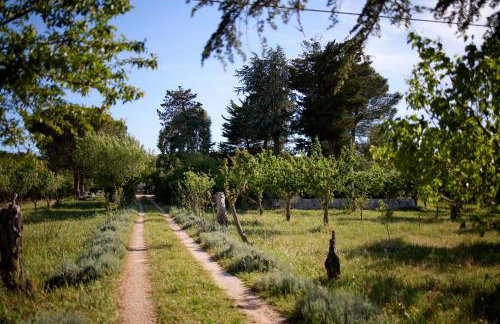 Agriturismo Teatro del grano - Foto 15