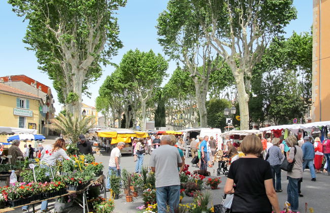 Mas des Lavandes - Foto 33