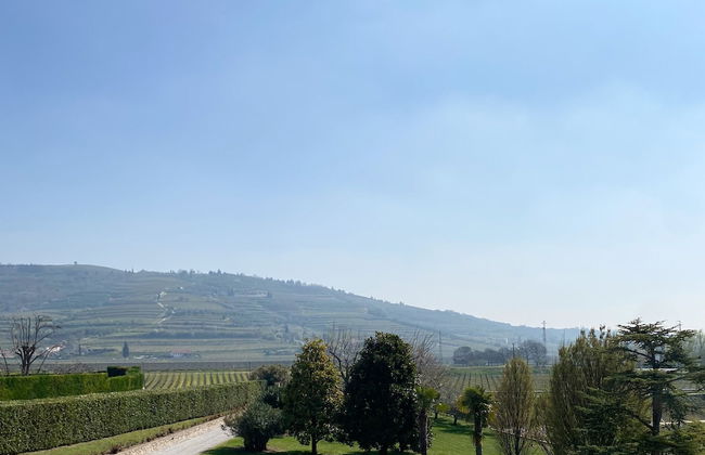 VerdeOlivo1876 - Apartments with Pool - Foto 57