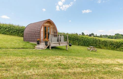 Pod One - Uk44402 - Foto 18