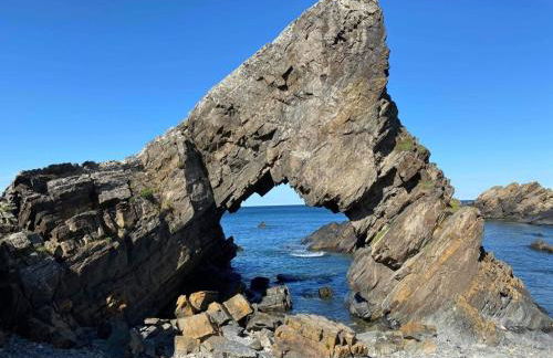 Bellevue Holiday Cottage - Foto 38