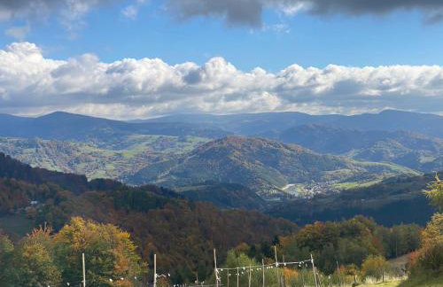 Chata na Łazach - Foto 11