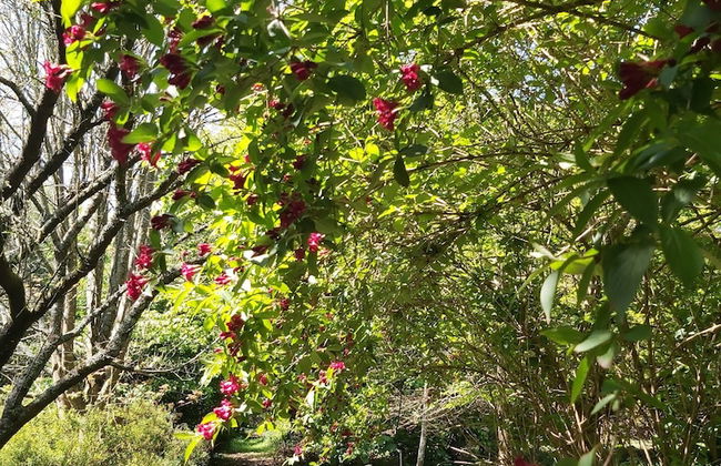 Domaine de Kerstrat - Foto 48