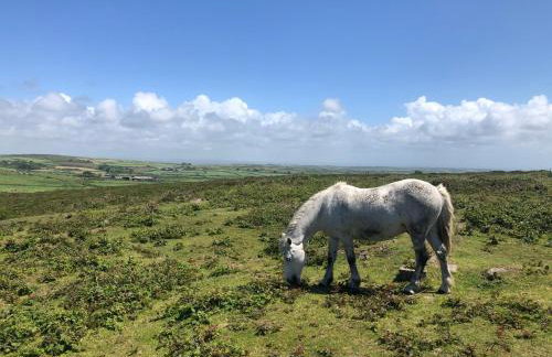 Archavon Luxury Studio - Foto 26