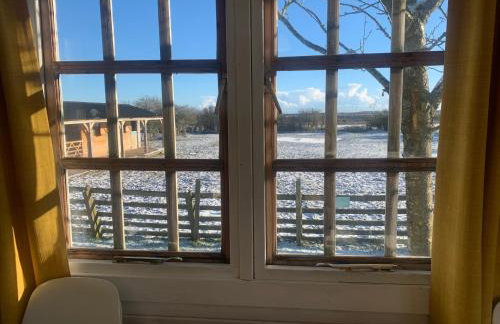 Owls Nest Log Cabin - Foto 21