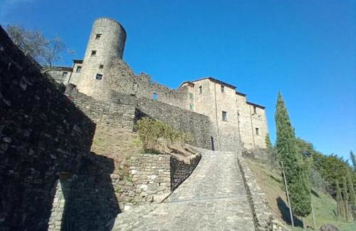 la casa nel bosco - Foto 35