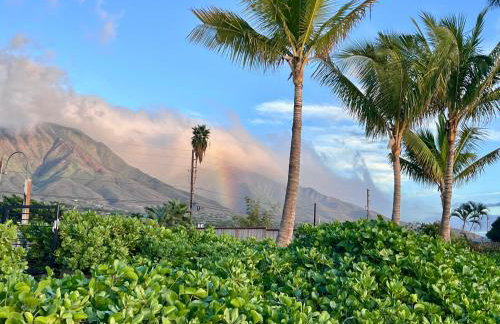 Compass Blue Lahaina - Foto 28