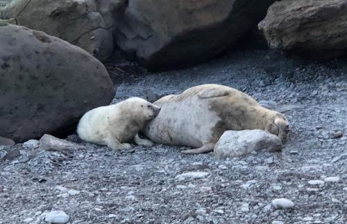 The Farmhouse - Photo 62