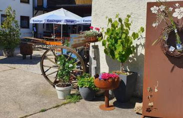 Weingut Will und Würz Lemberger - Foto 14