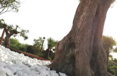 Il Corallo - Foto 42