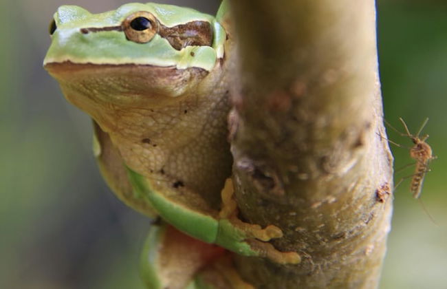 Casa rural Quevedo - Foto 34